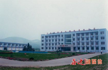 10月，迁安联钢南宫28钢铁有限公司成立；第一座128m³高炉点火生产。